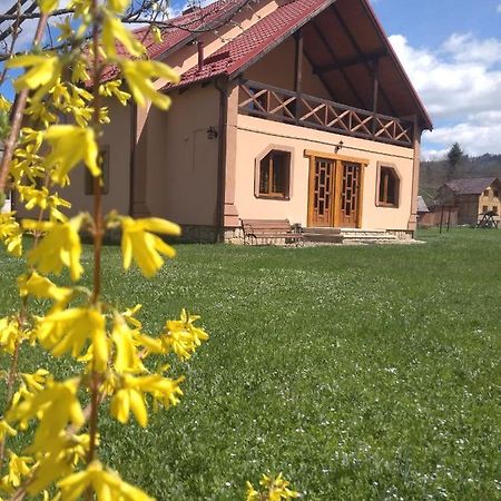 Затишок В Карпатах Villa ยาเรมชา ภายนอก รูปภาพ