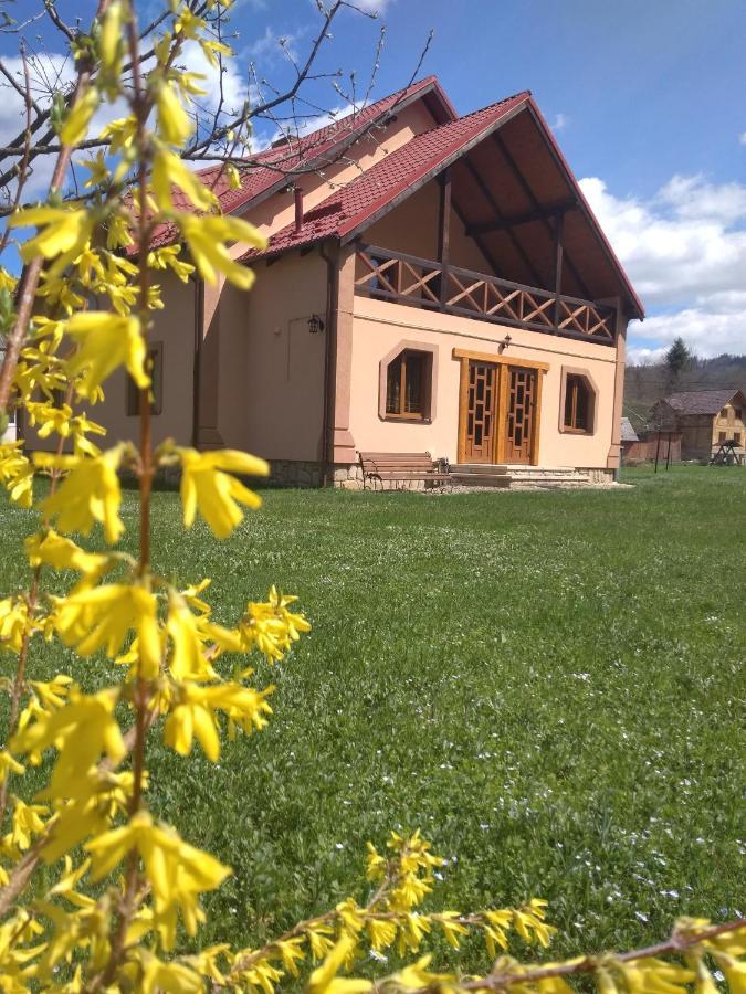 Затишок В Карпатах Villa ยาเรมชา ภายนอก รูปภาพ