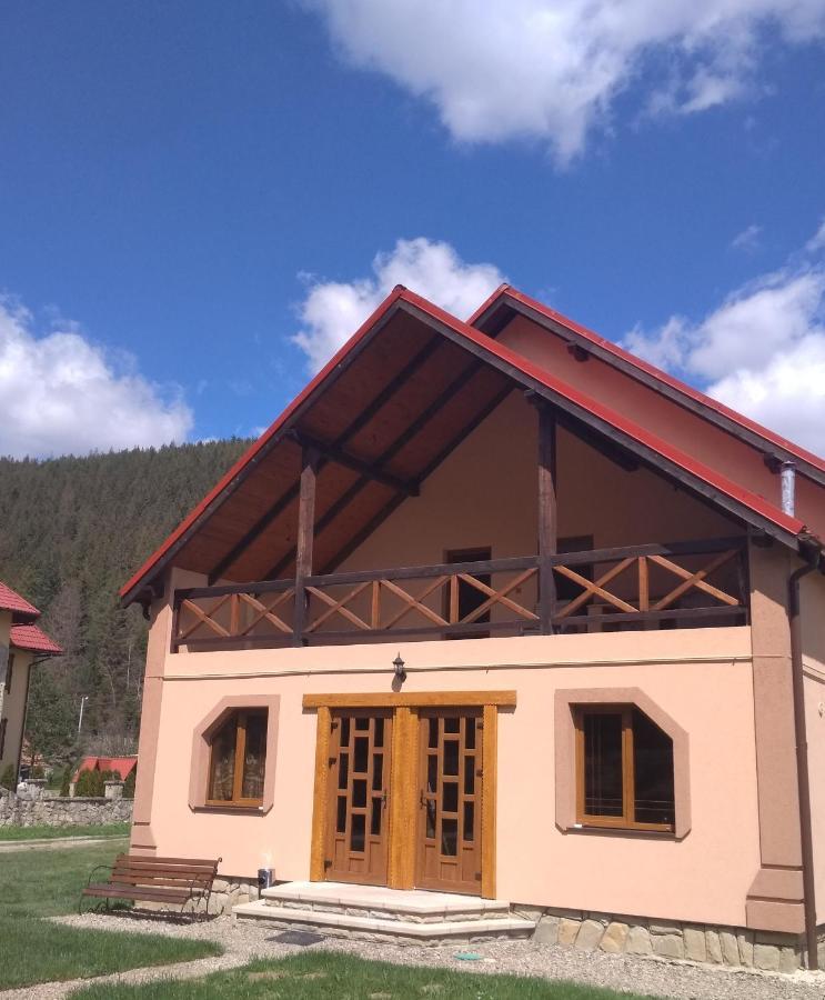 Затишок В Карпатах Villa ยาเรมชา ภายนอก รูปภาพ